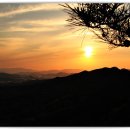 봉곡동279 이미지