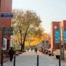 서울대학교 치의학대학원 치의학박물관 이미지