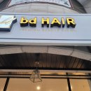 bd Hair 이미지