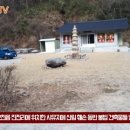 포항, 시유지에 불법 건축물 8동 ‘버젓’ 세명일보 차동욱기자 이미지