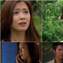 이상우 농장 이미지