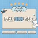 부산마야학원 비전공자도 취업 성공한 수강 후기