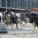 태희2농장 이미지