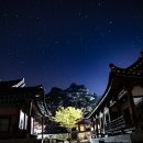 (주)세계로여행사 헤럴드경제