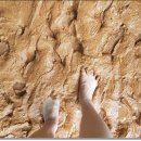 남동체육관 이미지