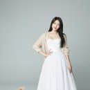 도그스타 이미지