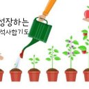 국무원합기도 이미지