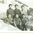 고계 Daum카페