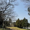 조천마실 이미지