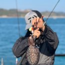 여수쭈꾸미 이미지