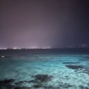 (주)삼일렌트카 | 3박 4일 1월 제주 여행 후기-1탄