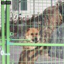 웃어야 웃을 일 이미지