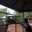 손별농장 이미지