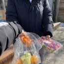 프룻보이 이미지