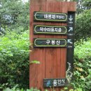 내동로 Daum카페