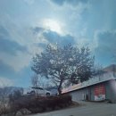 산아11 이미지