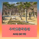옛돌박물관 | 서울 성북동 가볼만한 곳 추천 , 고요한 돌의 미학, 우리옛돌박물관