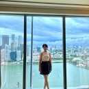 부영카프라자 | [싱가포르 4박5일_4일차] 마리나베이샌즈호텔/TWG/하이디라오/스펙트라분수쇼/바샤커피/헬릭스브릿지