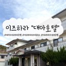 짝호텔 | 대마도 이즈하라 가성비숙소 대아호텔 내돈내산 후기