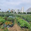(주)자연농장 이미지