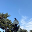 바즈