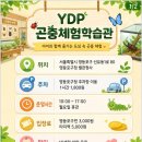 의정부1동 작은도서관 별관 | 영등포 ydp 곤충박물관 주차부터 요금까지, 주말 방문 전 필수 체크리스트