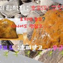 황금석 이미지