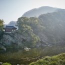 청송중기 티스토리