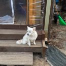 지리산사우나 이미지