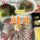 회가 | 속초 회포장 맛집, 신선함 끝판왕, 속초 ‘회가’ 후기