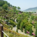 숲쟁이 이미지
