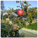 박가네농장 이미지