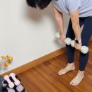 아령 | 아리프 선인장 아령 후기 | 거치대까지 깔끔한 홈트 필수템