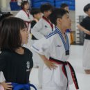 국가대표 금메달 태권도장 이미지