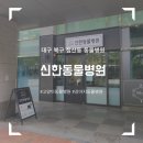 신한동물병원 | 과잉진료없는 대구동물병원 완전 추천해요! :: 신한동물병원