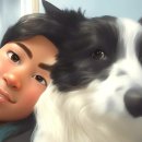 영희축산 이미지