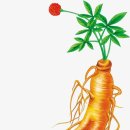 충장축제 행사장 이미지