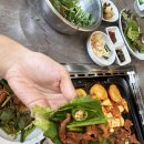 도원오리 이미지