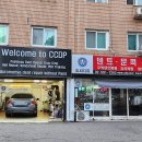 씨씨디피 이미지