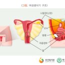 의료법인 상운의료재단 이미지