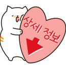 드림태권도 이미지