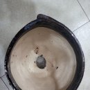 서인경화분 이미지