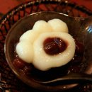 고양이 발바닥 이미지