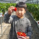 김정호 농장 이미지