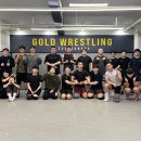 골드레슬링 이미지