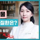 노령 반려동물들의 주의할 부분…심장병과 내분비 질환 [몸쓸이야기 13회] 이미지
