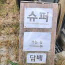 스테이 홉스 이미지