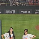 신바다속으로