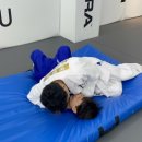 아트유도