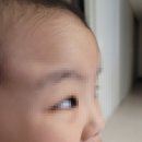 언양시장식품 | 대구 명절 선물세트 언양알프스시장 언양 한우 암소불고기 솔직 후기